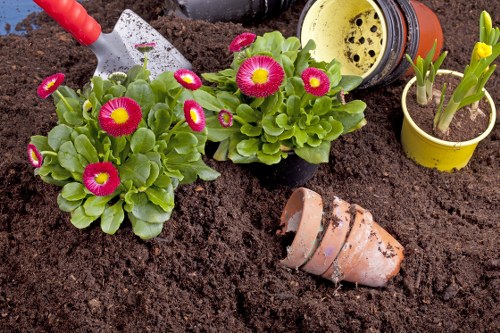 Beautiful landscaped garden by Kevin's Gardeners