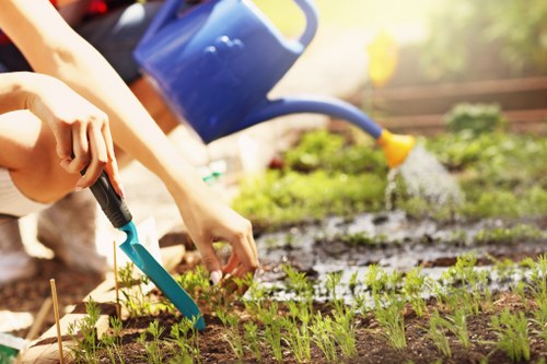 Local gardener planning a beautiful garden layout in Crossness