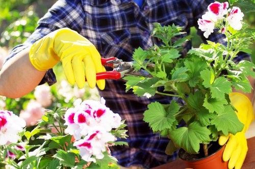 Professional gardener tending a lush Newington garden