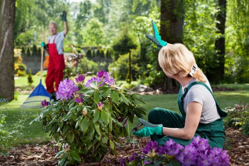 Professional gardener tending to a vibrant Kenley garden