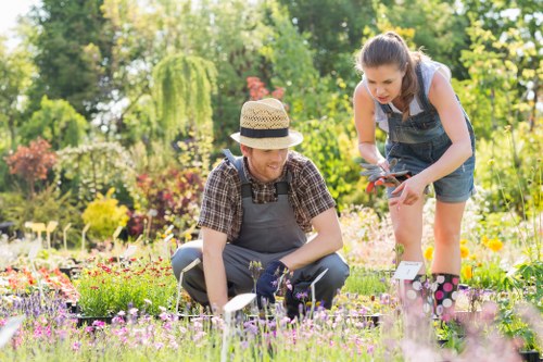 Professional gardener working in a beautifully landscaped garden