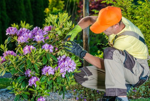 Professional lawn mowing service by Kevins Gardeners