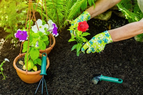 Local gardener in Morden working on a lawn