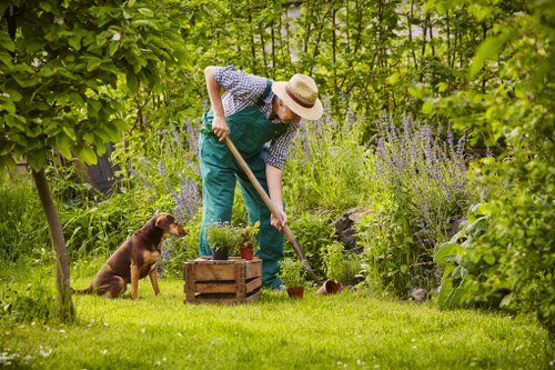 Kenley garden transformation with expert gardening services