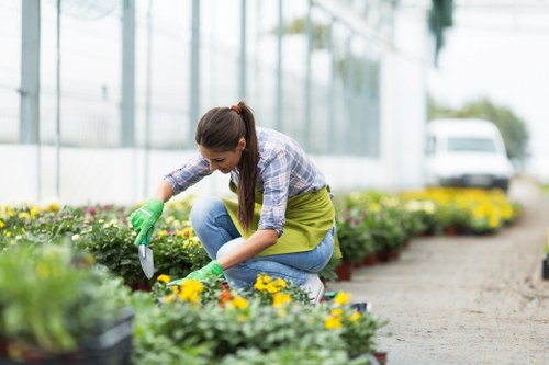 Professional gardener working in Upper Walthamstow garden