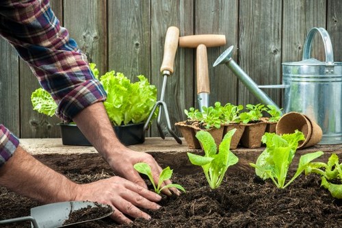 Eco-friendly gardening practices implemented by a Collier Row gardener.