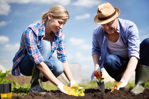 Comprehensive gardening services