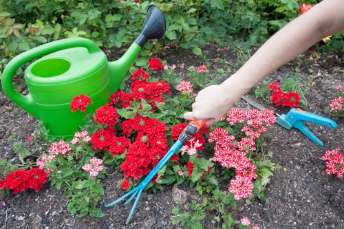 Gardeners planting seasonal flowers in Southfields backyard