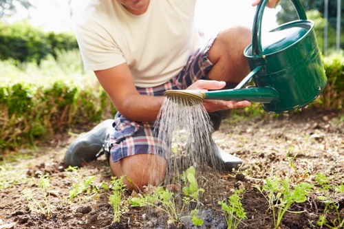 Garden design plan with various plants