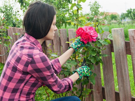 Custom garden design by a Morden gardening professional