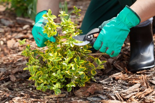 Eco-friendly gardening practices in Eastcote