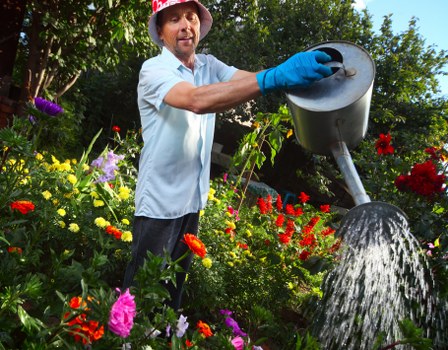 Professional pruning and trimming by a Shoreditch gardener