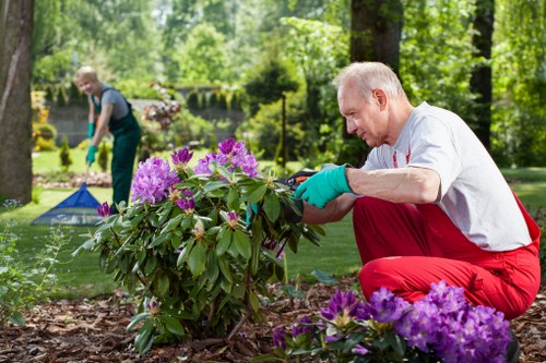 Transformed outdoor space with lush plants