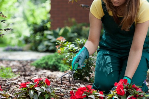 Professional gardener working on garden design