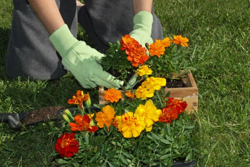 Gardener in St Johns practicing sustainable gardening techniques