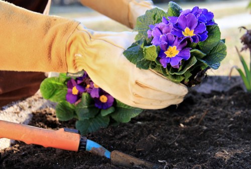 Gardener consulting with client in Upper Walthamstow