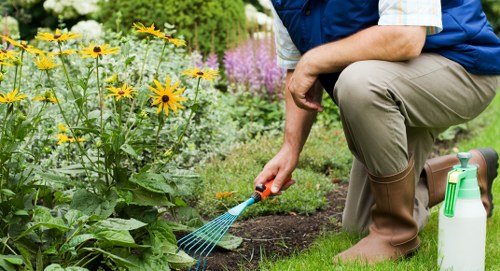 Professional gardener working in an elegant garden