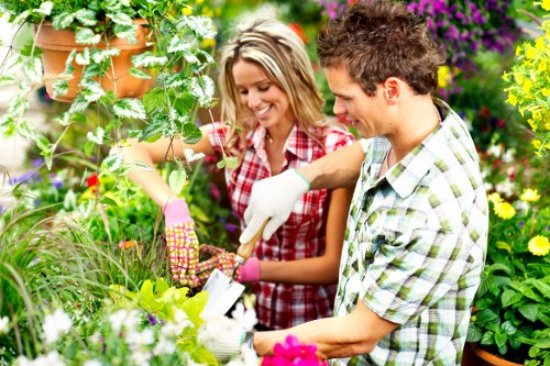 Local St Johns gardener planning a garden design