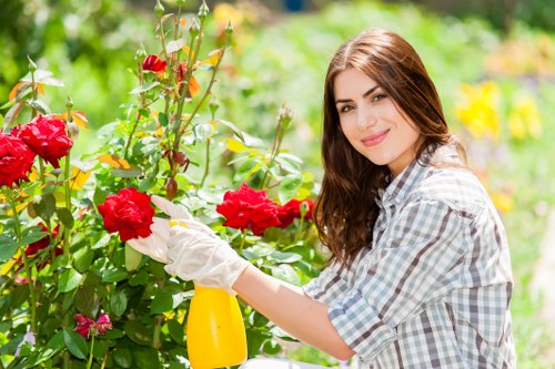 Lush green garden with vibrant flowers