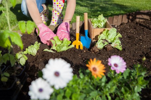 Local gardener enhancing a Manor Park garden