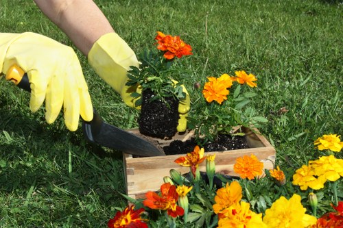 Professional garden maintenance services in Kentish Town