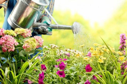 Seasonal flowers thriving in a Lower Morden garden