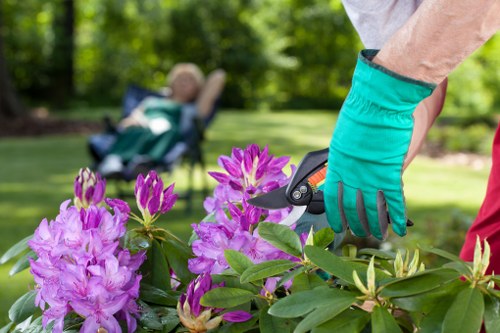 Professional gardener trimming a hedge in St Margarets