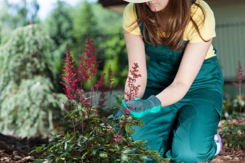 Experienced gardeners providing personalized garden care in Tulse Hill