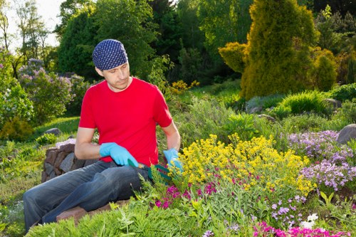 Professional garden maintenance services