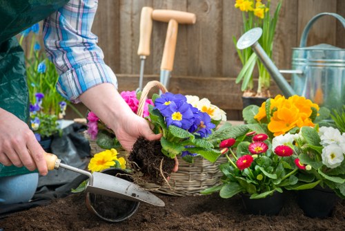 Local gardener working on a thriving Richmond garden