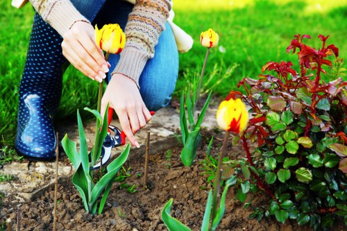 Professional plant installation by Kevin's Gardeners