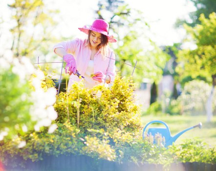 Professional gardener working in Isleworth garden