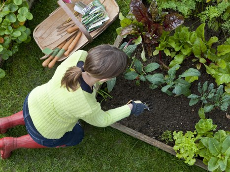 Hardscaping features including patios and walkways