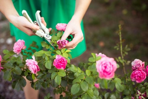 Seasonal flowers planted by Manor Park gardeners