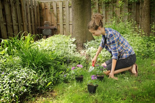 Creative garden design by a South Ruislip gardener