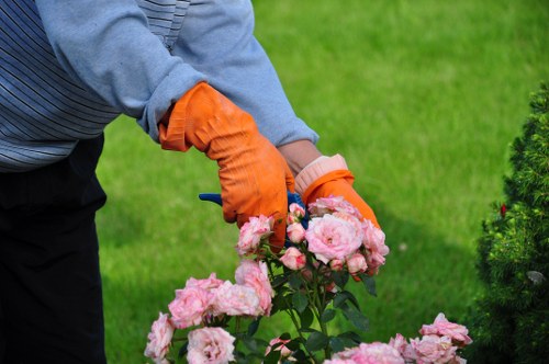 Professional gardener enhancing property curb appeal in Blackfriars