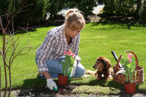 Waterloo gardener designing a garden layout