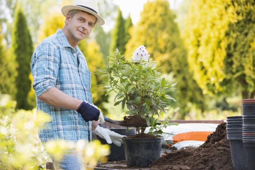 Gardener planning garden clearance with tools