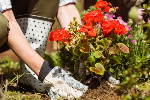 Gardener planting flowers in Little Ilford