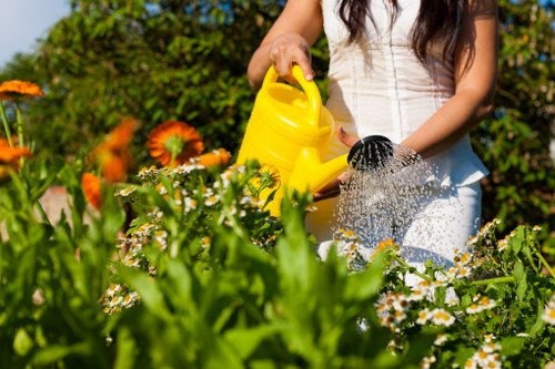 Healthy green lawn maintained by a Preston gardener