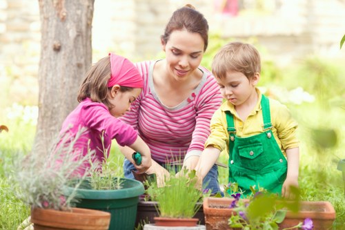 A vibrant and thriving garden maintained by Kevin's Gardeners