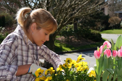 Professional gardener designing a garden layout