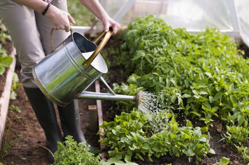 Gardener pruning shrubs in a Wimbledon garden