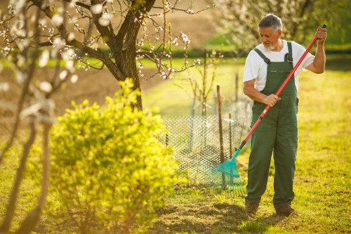 Expert landscape design in a Watford garden