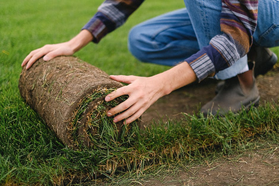 A person wearing a plaid shirt, jeans, and boots is kneeling on a garden lawn, preparing the soil for new turf or planting. They are rolling out a thick layer of sod, exposing the soil beneath, which 